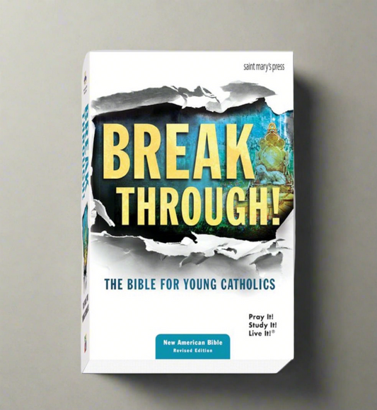 Break Through! The Bible for Young Catholics